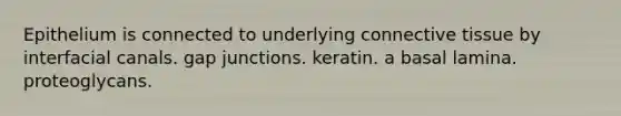 Epithelium is connected to underlying connective tissue by interfacial canals. gap junctions. keratin. a basal lamina. proteoglycans.