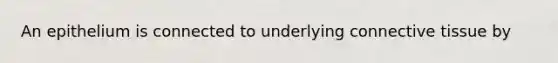 An epithelium is connected to underlying connective tissue by