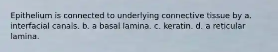 Epithelium is connected to underlying connective tissue by a. interfacial canals. b. a basal lamina. c. keratin. d. a reticular lamina.