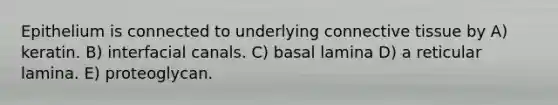 Epithelium is connected to underlying connective tissue by A) keratin. B) interfacial canals. C) basal lamina D) a reticular lamina. E) proteoglycan.