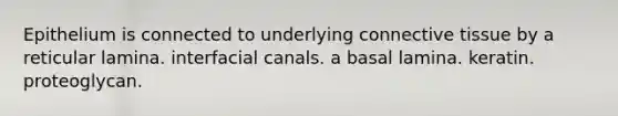 Epithelium is connected to underlying connective tissue by a reticular lamina. interfacial canals. a basal lamina. keratin. proteoglycan.