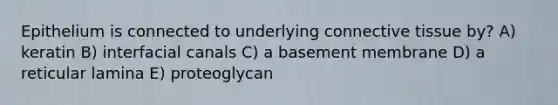 Epithelium is connected to underlying connective tissue by? A) keratin B) interfacial canals C) a basement membrane D) a reticular lamina E) proteoglycan