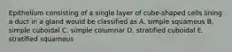 Epithelium consisting of a single layer of cube-shaped cells lining a duct in a gland would be classified as A. simple squamous B. simple cuboidal C. simple columnar D. stratified cuboidal E. stratified squamous