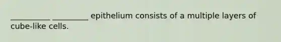 __________ _________ epithelium consists of a multiple layers of cube-like cells.