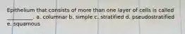 Epithelium that consists of more than one layer of cells is called __________. a. columnar b. simple c. stratified d. pseudostratified e. squamous