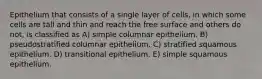 Epithelium that consists of a single layer of cells, in which some cells are tall and thin and reach the free surface and others do not, is classified as A) simple columnar epithelium. B) pseudostratified columnar epithelium. C) stratified squamous epithelium. D) transitional epithelium. E) simple squamous epithelium.