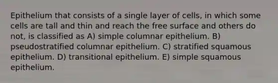 Epithelium that consists of a single layer of cells, in which some cells are tall and thin and reach the free surface and others do not, is classified as A) simple columnar epithelium. B) pseudostratified columnar epithelium. C) stratified squamous epithelium. D) transitional epithelium. E) simple squamous epithelium.