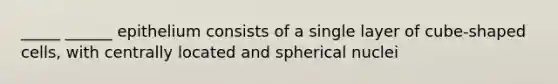 _____ ______ epithelium consists of a single layer of cube-shaped cells, with centrally located and spherical nuclei