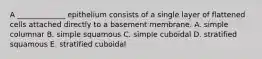 A _____________ epithelium consists of a single layer of flattened cells attached directly to a basement membrane. A. simple columnar B. simple squamous C. simple cuboidal D. stratified squamous E. stratified cuboidal