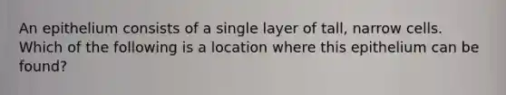 An epithelium consists of a single layer of tall, narrow cells. Which of the following is a location where this epithelium can be found?