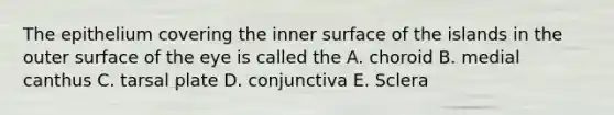 The epithelium covering the inner surface of the islands in the outer surface of the eye is called the A. choroid B. medial canthus C. tarsal plate D. conjunctiva E. Sclera