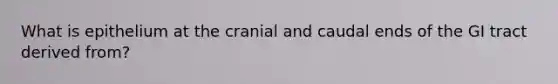 What is epithelium at the cranial and caudal ends of the GI tract derived from?