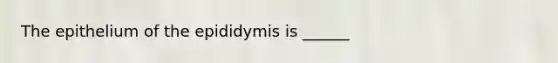 The epithelium of the epididymis is ______