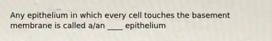 Any epithelium in which every cell touches the basement membrane is called a/an ____ epithelium