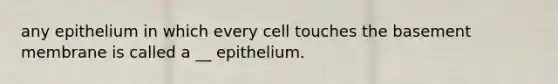 any epithelium in which every cell touches the basement membrane is called a __ epithelium.