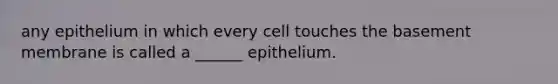 any epithelium in which every cell touches the basement membrane is called a ______ epithelium.