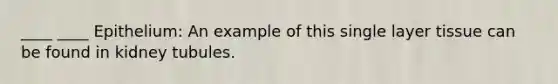 ____ ____ Epithelium: An example of this single layer tissue can be found in kidney tubules.