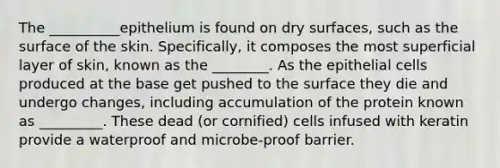 The __________epithelium is found on dry surfaces, such as the surface of the skin. Specifically, it composes the most superficial layer of skin, known as the ________. As the epithelial cells produced at the base get pushed to the surface they die and undergo changes, including accumulation of the protein known as _________. These dead (or cornified) cells infused with keratin provide a waterproof and microbe-proof barrier.