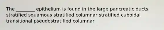 The ________ epithelium is found in the large pancreatic ducts. stratified squamous stratified columnar stratified cuboidal transitional pseudostratified columnar