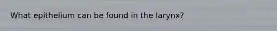 What epithelium can be found in the larynx?