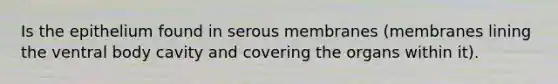 Is the epithelium found in serous membranes (membranes lining the ventral body cavity and covering the organs within it).