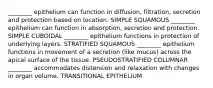 ________ epithelium can function in diffusion, filtration, secretion and protection based on location. SIMPLE SQUAMOUS ________ epithelium can function in absorption, secretion and protection. SIMPLE CUBOIDAL ________ epithelium functions in protection of underlying layers. STRATIFIED SQUAMOUS ________ epithelium functions in movement of a secretion (like mucus) across the apical surface of the tissue. PSEUDOSTRATIFIED COLUMNAR ________ accommodates distension and relaxation with changes in organ volume. TRANSITIONAL EPITHELIUM