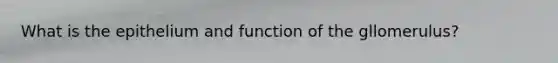 What is the epithelium and function of the gllomerulus?