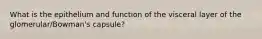 What is the epithelium and function of the visceral layer of the glomerular/Bowman's capsule?