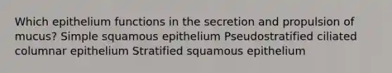 Which epithelium functions in the secretion and propulsion of mucus? Simple squamous epithelium Pseudostratified ciliated columnar epithelium Stratified squamous epithelium