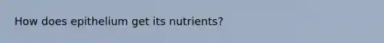 How does epithelium get its nutrients?