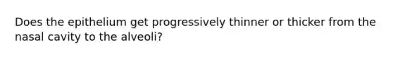 Does the epithelium get progressively thinner or thicker from the nasal cavity to the alveoli?