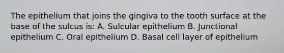 The epithelium that joins the gingiva to the tooth surface at the base of the sulcus is: A. Sulcular epithelium B. Junctional epithelium C. Oral epithelium D. Basal cell layer of epithelium