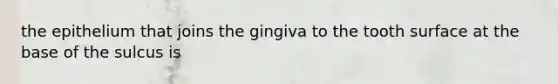 the epithelium that joins the gingiva to the tooth surface at the base of the sulcus is