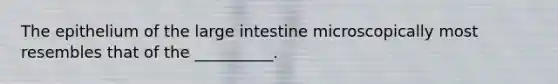 The epithelium of the <a href='https://www.questionai.com/knowledge/kGQjby07OK-large-intestine' class='anchor-knowledge'>large intestine</a> microscopically most resembles that of the __________.