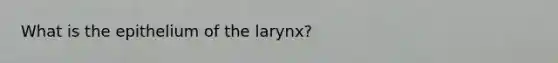 What is the epithelium of the larynx?