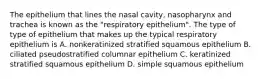 The epithelium that lines the nasal cavity, nasopharynx and trachea is known as the "respiratory epithelium". The type of type of epithelium that makes up the typical respiratory epithelium is A. nonkeratinized stratified squamous epithelium B. ciliated pseudostratified columnar epithelium C. keratinized stratified squamous epithelium D. simple squamous epithelium