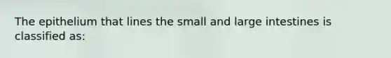 The epithelium that lines the small and <a href='https://www.questionai.com/knowledge/kGQjby07OK-large-intestine' class='anchor-knowledge'>large intestine</a>s is classified as: