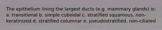 The epithelium lining the largest ducts (e.g. mammary glands) is: a. transitional b. simple cuboidal c. stratified squamous, non-keratinized d. stratified columnar e. pseudostratified, non-ciliated