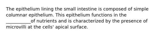 The epithelium lining <a href='https://www.questionai.com/knowledge/kt623fh5xn-the-small-intestine' class='anchor-knowledge'>the small intestine</a> is composed of simple columnar epithelium. This epithelium functions in the ___________of nutrients and is characterized by the presence of microvilli at the cells' apical surface.