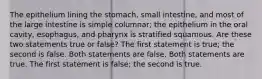 The epithelium lining the stomach, small intestine, and most of the large intestine is simple columnar; the epithelium in the oral cavity, esophagus, and pharynx is stratified squamous. Are these two statements true or false? The first statement is true; the second is false. Both statements are false. Both statements are true. The first statement is false; the second is true.