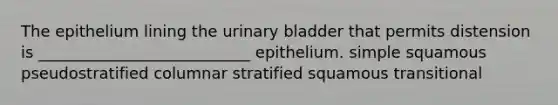 The epithelium lining the urinary bladder that permits distension is ___________________________ epithelium. simple squamous pseudostratified columnar stratified squamous transitional