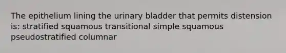 The epithelium lining the <a href='https://www.questionai.com/knowledge/kb9SdfFdD9-urinary-bladder' class='anchor-knowledge'>urinary bladder</a> that permits distension is: stratified squamous transitional simple squamous pseudostratified columnar