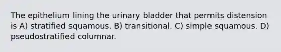 The epithelium lining the urinary bladder that permits distension is A) stratified squamous. B) transitional. C) simple squamous. D) pseudostratified columnar.