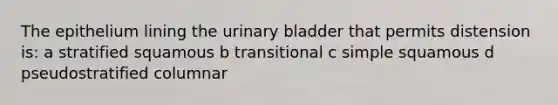 The epithelium lining the urinary bladder that permits distension is: a stratified squamous b transitional c simple squamous d pseudostratified columnar