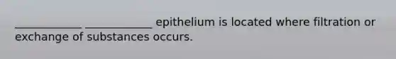 ____________ ____________ epithelium is located where filtration or exchange of substances occurs.