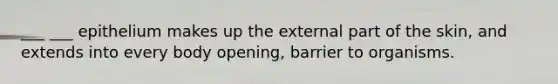 ___ ___ epithelium makes up the external part of the skin, and extends into every body opening, barrier to organisms.