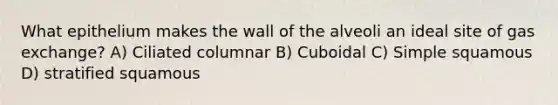 What epithelium makes the wall of the alveoli an ideal site of gas exchange? A) Ciliated columnar B) Cuboidal C) Simple squamous D) stratified squamous