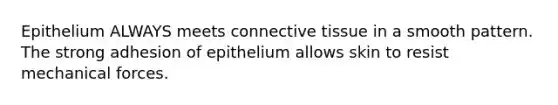 Epithelium ALWAYS meets connective tissue in a smooth pattern. The strong adhesion of epithelium allows skin to resist mechanical forces.