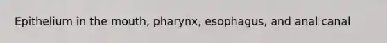 Epithelium in the mouth, pharynx, esophagus, and anal canal
