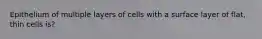 Epithelium of multiple layers of cells with a surface layer of flat, thin cells is?